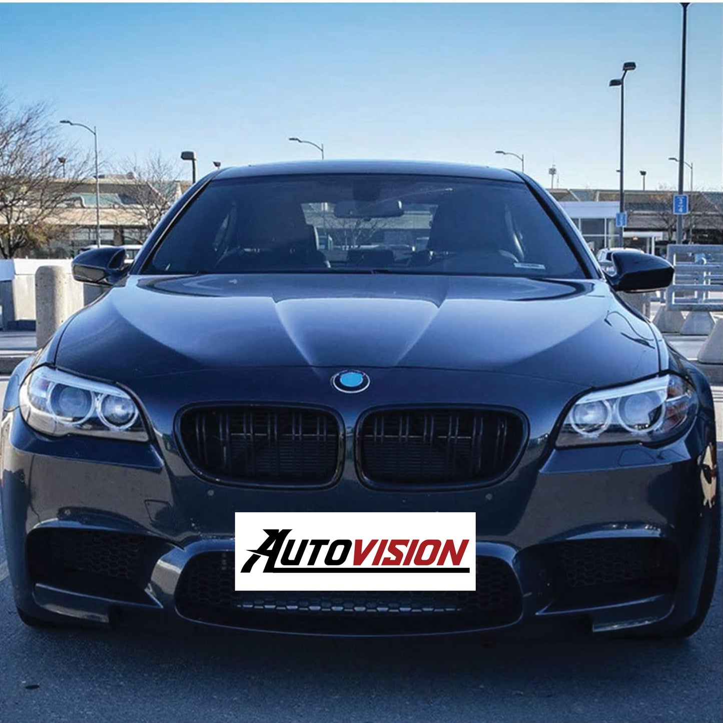 Autovision for 2010-2016 BMW 5 Series F10 Front Grille - PAINTED