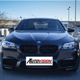 Autovision for 2010-2016 BMW 5 Series F10 Front Grille  - PAINTED