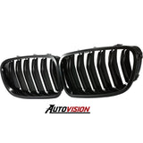 Autovision for 2010-2016 BMW 5 Series F10 Front Grille  - PAINTED