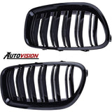 Autovision for 2010-2016 BMW 5 Series F10 Front Grille  - PAINTED