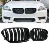 Autovision for 2010-2016 BMW 5 Series F10 Front Grille  - PAINTED